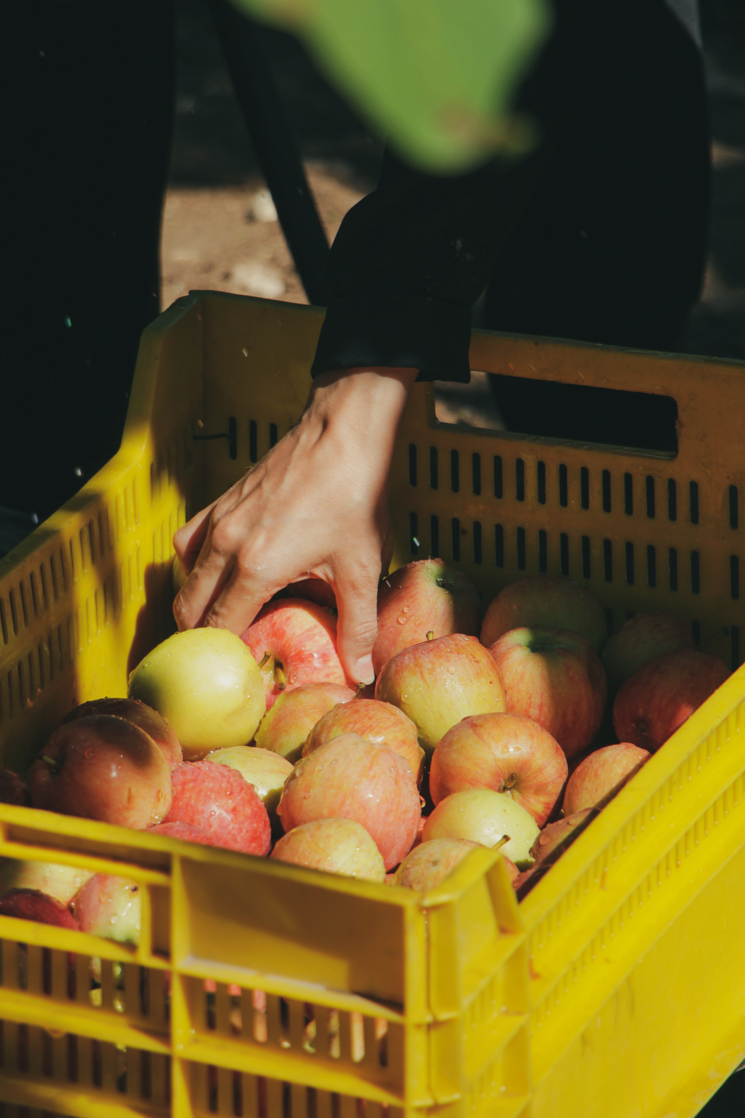 prepravka v potravinarstve